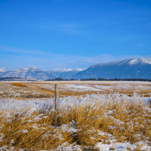 Early Frost in the Valley