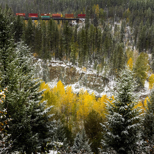Early Snow