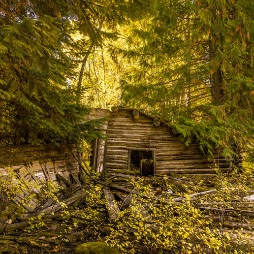 Fall Cabin