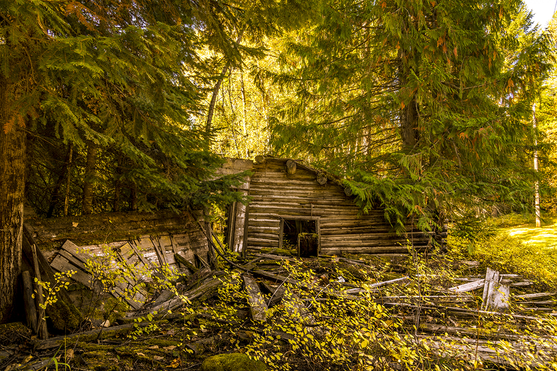 Fall Cabin