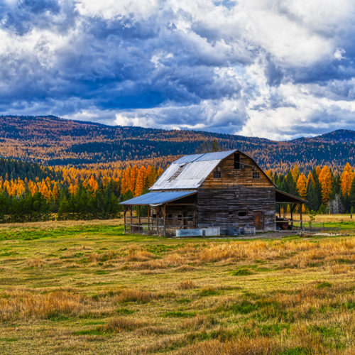 Hwy 93 Barn Autumn