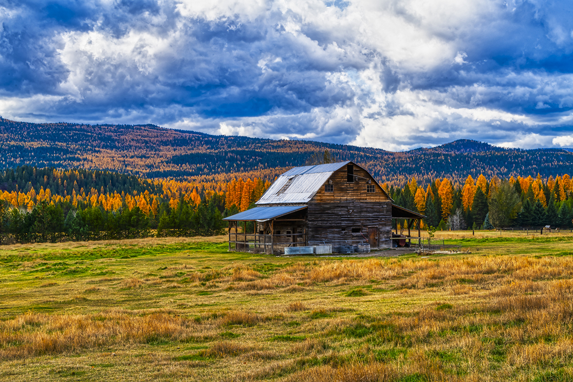 Hwy 93 Barn Autumn