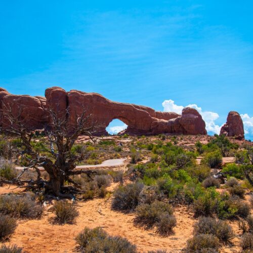 Moab 2