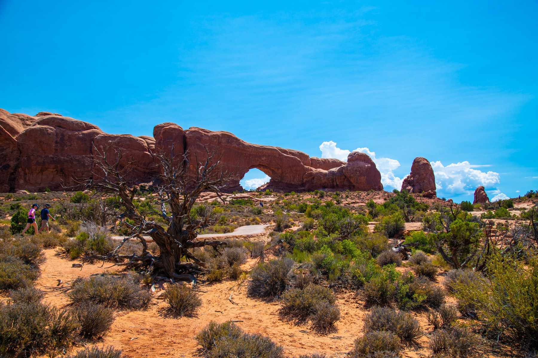 Moab 2