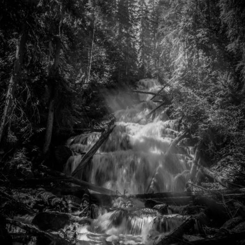 Martin Falls