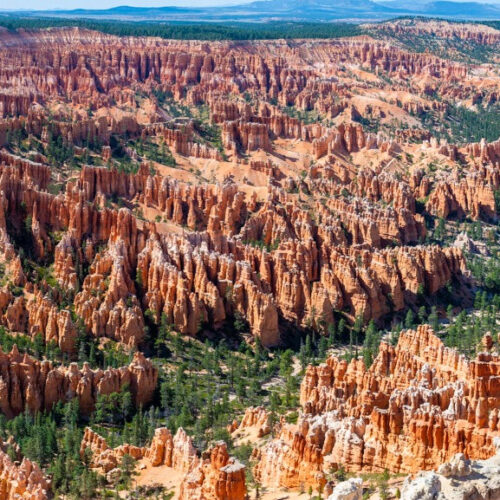 Bryce 2