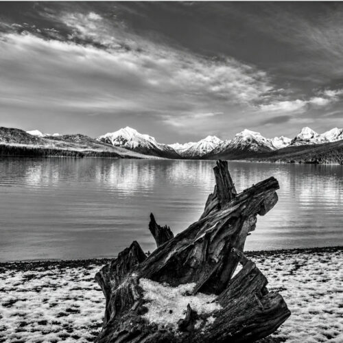 B/W Lake Mc D Log