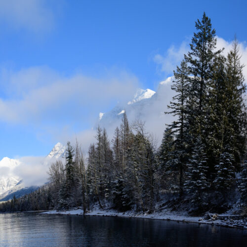 Winter Scenes 2